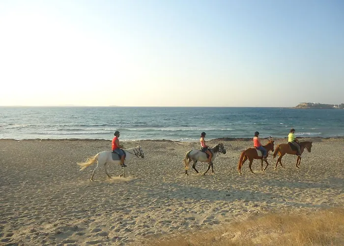 Naxos Edem & Daire *