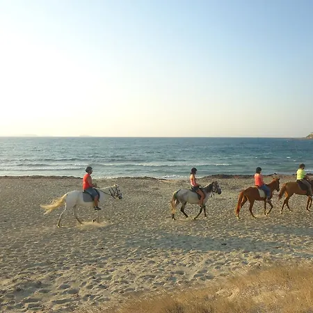 Naxos Edem & Apartmán *